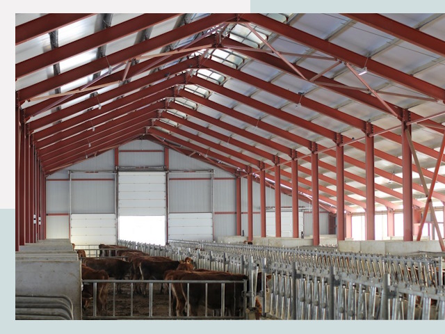 Строительство коровников в Ржеве