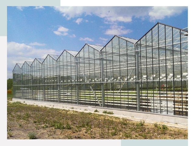 Строительство теплиц в Ржев от 617 руб. за м²