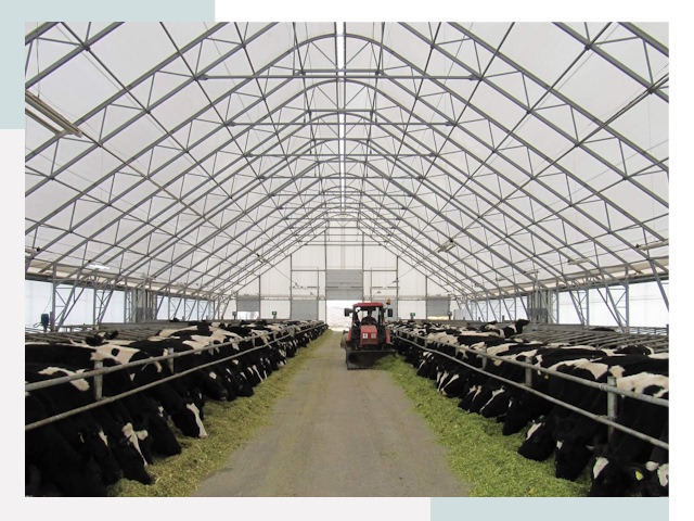 Тентовые коровники в Ржеве от 617 руб. - Надежно и доступно